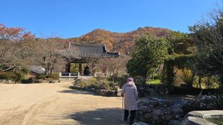 대박농장신초시님의 기타작물 · 영농일지 작성글 사진