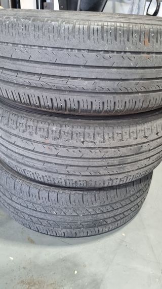 김지철님의 기타작물 · 영농일지 작성글 사진