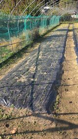 팜모닝 기타작물·영농일지 게시글 이미지