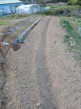 팜모닝 기타작물·영농일지 게시글 이미지