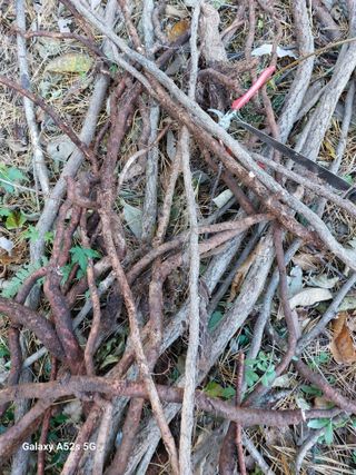 손길준님의 기타작물 · 영농일지 작성글 사진