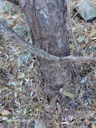 손길준님의 기타작물 · 영농일지 작성글 사진