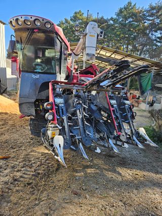 하이론님의 벼 · 영농일지 작성글 사진