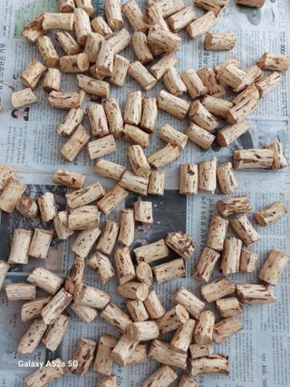 손길준님의 기타작물 · 영농일지 작성글 사진