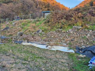 이준영님의 기타작물 · 영농일지 작성글 사진