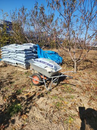 박병한님의 복숭아 · 영농일지 작성글 사진