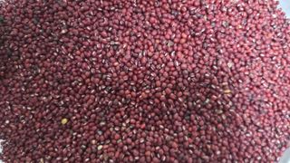 양남진님의 기타작물 · 영농일지 작성글 사진