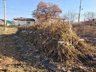 권병☆님의 콩 · 영농일지 작성글 사진