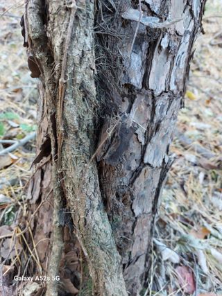 손길준님의 기타작물 · 영농일지 작성글 사진