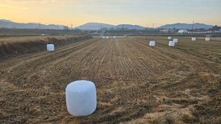 백보승님의 기타작물 · 영농일지 작성글 사진