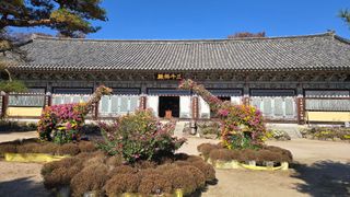 대박농장신초시님의 기타작물 · 영농일지 작성글 사진