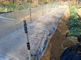 한건택님의 기타작물 · 영농일지 작성글 사진