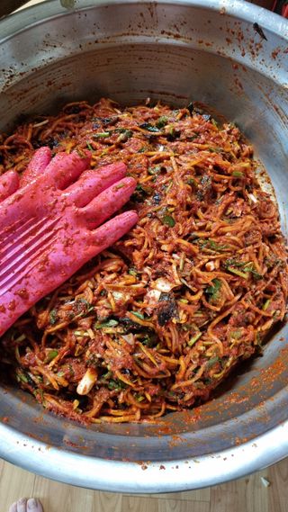 김지철님의 기타작물 · 영농일지 작성글 사진