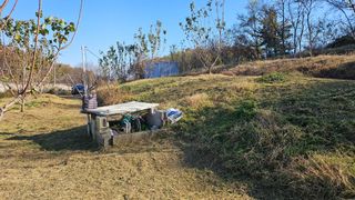 장정규님의 기타작물 · 영농일지 작성글 사진