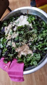 팜모닝 기타작물·영농일지 게시글 이미지