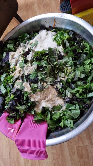 김지철님의 기타작물 · 영농일지 작성글 사진