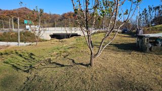 장정규님의 기타작물 · 영농일지 작성글 사진