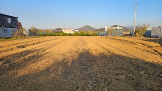 장정규님의 기타작물 · 영농일지 작성글 사진