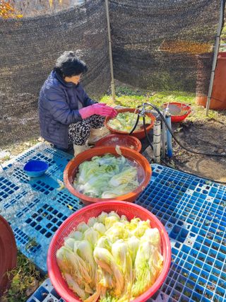 심기섭님의 기타작물 · 영농일지 작성글 사진
