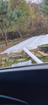 팜모닝 마늘·영농일지 게시글 이미지