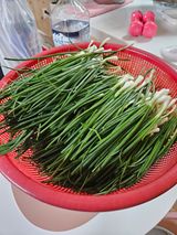 팜모닝 배추·영농일지 게시글 이미지