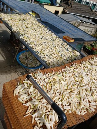 이영자 님의 기타작물 · 영농일지 작성글 사진