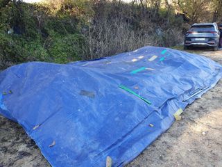 솔청님의 콩 · 영농일지 작성글 사진