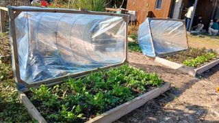 이상철님의 기타작물 · 영농일지 작성글 사진