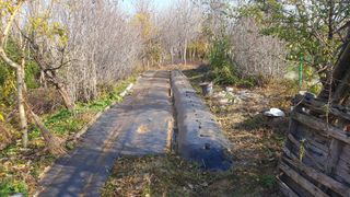 송완춘님의 기타작물 · 영농일지 작성글 사진