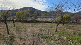 가야산아래촌농님의 기타작물 · 영농일지 작성글 사진