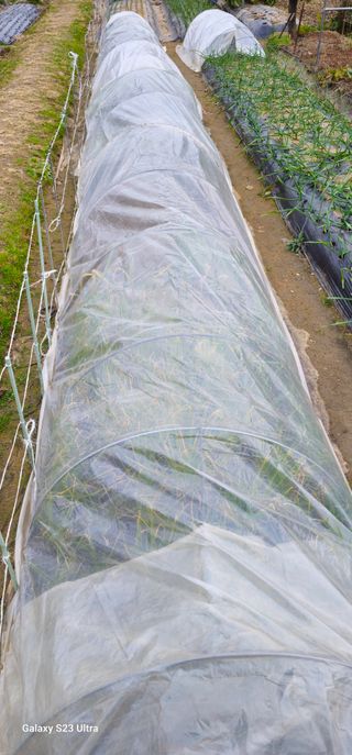 부천역곡 정병호님의 기타작물 · 영농일지 작성글 사진