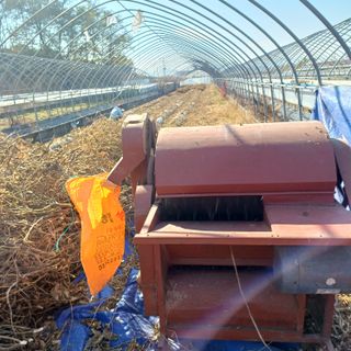 김진영님의 기타작물 · 영농일지 작성글 사진