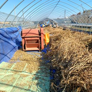 김진영님의 기타작물 · 영농일지 작성글 사진