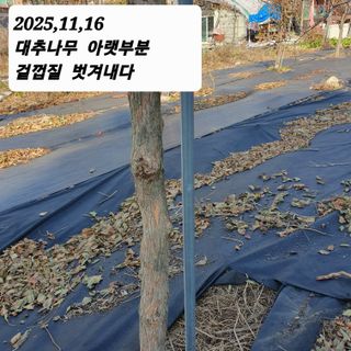 시민농장님의 기타작물 · 영농일지 작성글 사진