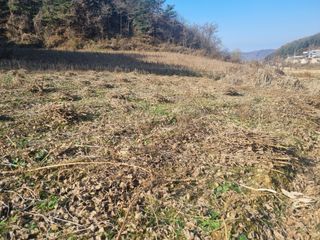 원인호님의 콩 · 영농일지 작성글 사진