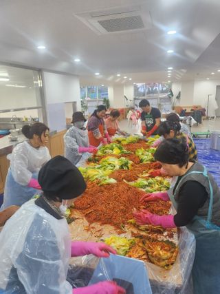 손정아님의 배추 · 영농일지 작성글 사진