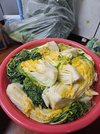 김인수님의 배추 · 영농일지 작성글 사진