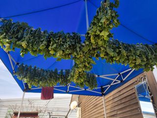 박병철님의 기타작물 · 영농일지 작성글 사진