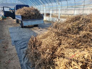 원인호님의 콩 · 영농일지 작성글 사진