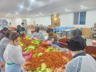 손정아님의 배추 · 영농일지 작성글 사진