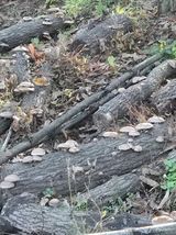 한상훈님의 작성글 사진