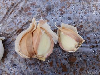 화우농원님의 마늘 · 영농일지 작성글 사진