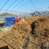 팜모닝 기타작물·영농일지 게시글 이미지