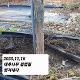 팜모닝 기타작물·영농일지 게시글 이미지