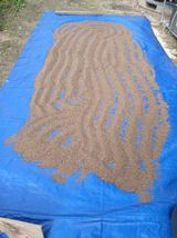 팜모닝 기타작물·영농일지 게시글 이미지