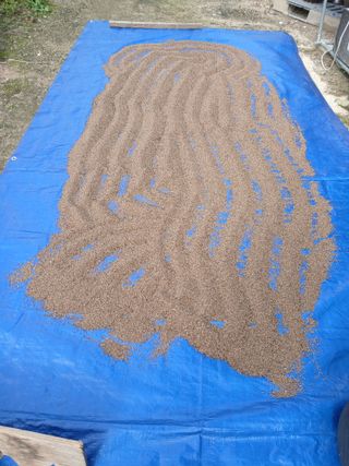 879412님의 기타작물 · 영농일지 작성글 사진