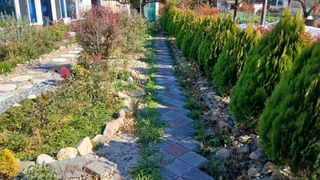 이상철님의 기타작물 · 영농일지 작성글 사진