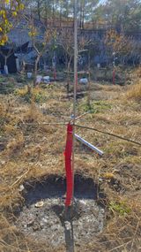 팜모닝 사과·영농일지 게시글 이미지