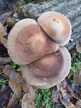 한상훈님의 작성글 사진