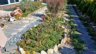 이상철님의 기타작물 · 영농일지 작성글 사진